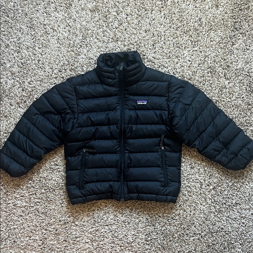 Patagonia Black Puffer Jacket